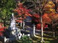 秋の岡崎公園