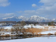 蒜山高原 雪景色