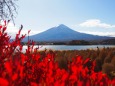 秋の河口湖