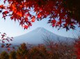 秋の新倉山浅間公園