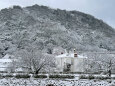 雪景色 鳥取城趾3