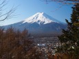 冬の新倉山浅間公園