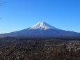 冬の新倉山浅間公園