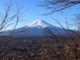 冬の新倉山浅間公園