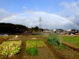 大寒を前に 新春希望の虹