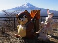 新春の河口湖天上山公園