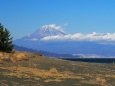 仲春の三保松原から望む富士山