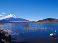 厳冬の山中湖