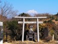 仲春の日本平から望む富士山