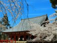 醍醐寺