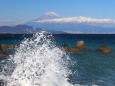 仲春の三保松原から望む富士山