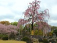 東寺