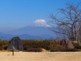 仲春の日本平から望む富士山