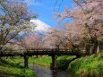 忍野八海