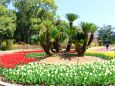 京都府立植物園