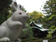 春の岡崎神社