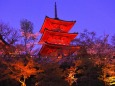 春の夜の清水寺