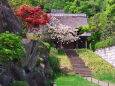 春の寺