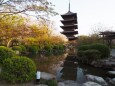 春の東寺