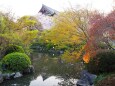 春の東寺