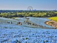 ひたち海浜公園