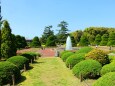新緑の京都府立植物園