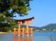 新緑の厳島神社