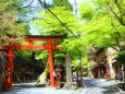 新緑の貴船神社