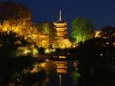 春の夜の東寺