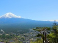 新緑の河口湖