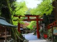 新緑の貴船神社