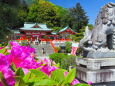 春の織姫神社