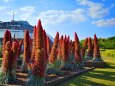 京都府立植物園