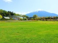 緑のじゅうたんと富士山