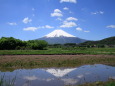 春の風景