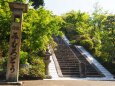 春の三室戸寺