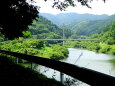 山上湖公園 遊歩道の橋