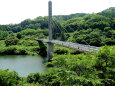 若葉緑をめぐる公園遊歩道の橋