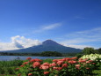 夏の富士山