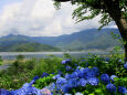 河口湖の風景