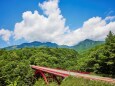 夏の東沢大橋