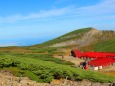 夏の乗鞍岳