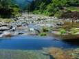 夏の水辺