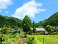 夏の里山