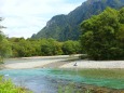 夏の水辺