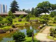 夏の玉泉院丸庭園