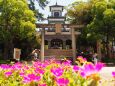 夏の尾山神社