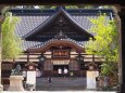 夏の尾山神社