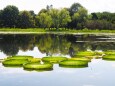 夏の富山県中央植物園