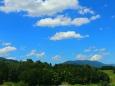 夏の里山